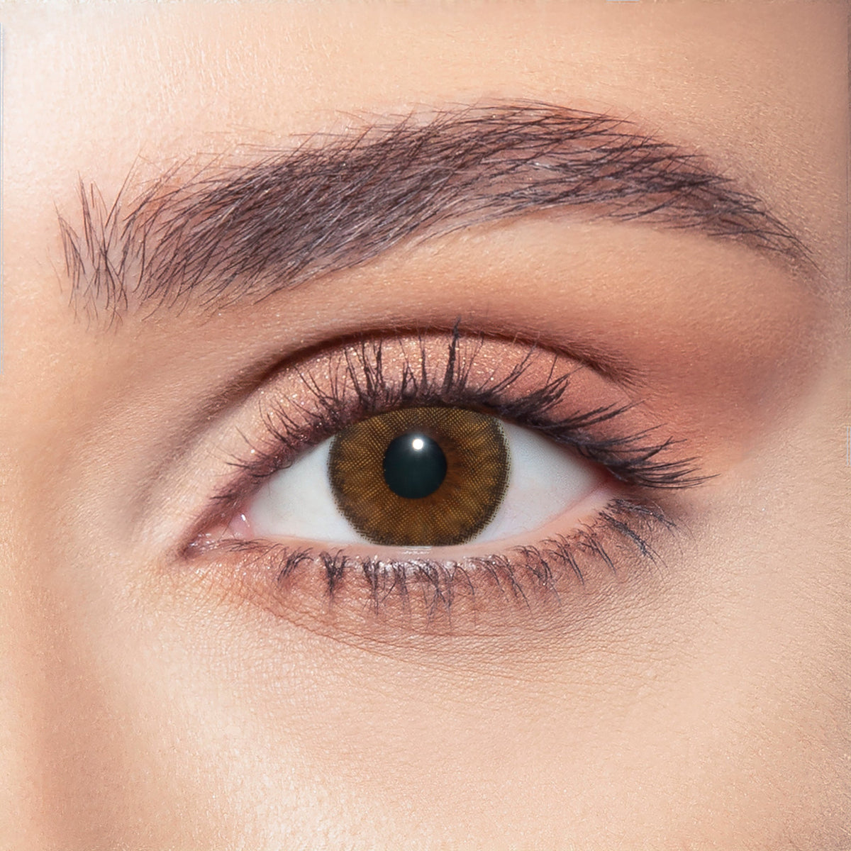 Nerelle coloured Contact Lenses