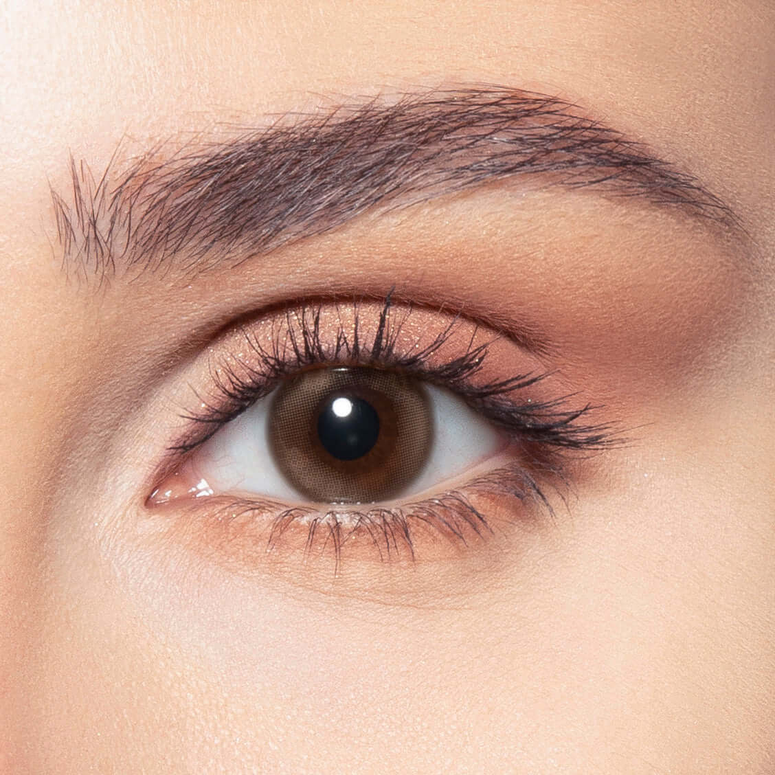 Venus Coloured Contact Lenses